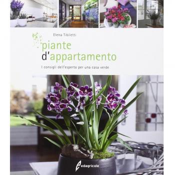 Piante d'appartamento. I consigli dell'esperto per una casa verde