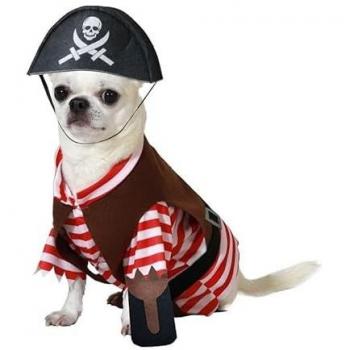 Perro Pirata del Caribe