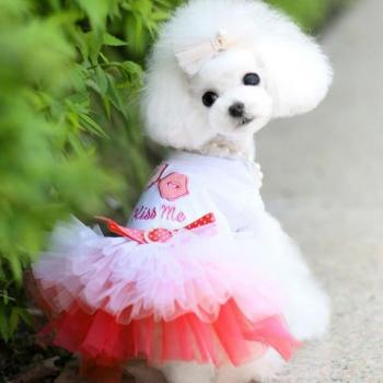 Perro de Tela Dama Pequeña
