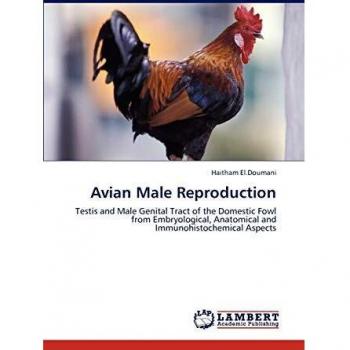 Avian Male Reproduction