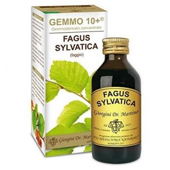 GEMMO 10+ Hêtre 100 ml