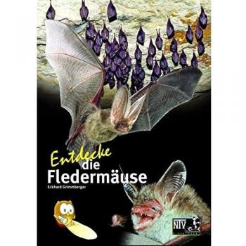 Entdecke die Fledermäuse