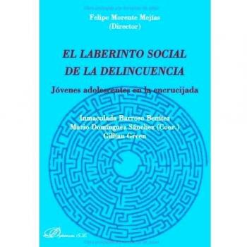 El laberinto social de la delincuencia: Jóvenes adolescentes en la encrucijada (Tapa blanda).