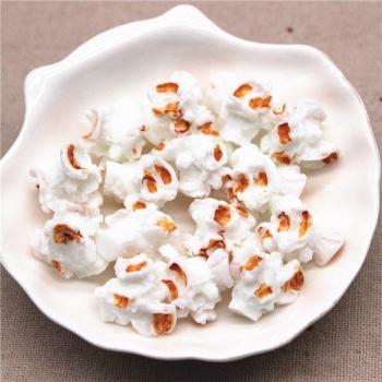 3D Miniature Popcorn Resin Decorations