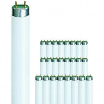 Philips MASTER TL-D 58W 840 Kaltweiß 150cm 25 Stück