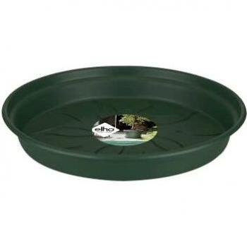Platillo Verde Green Basics 25 cm – Ideal para Interior y Exterior