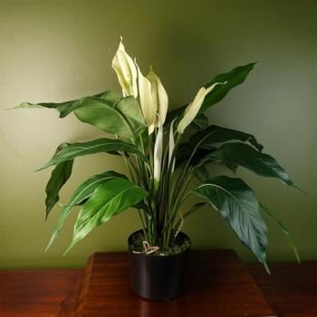 White Spathiphyllum Artificial Plant