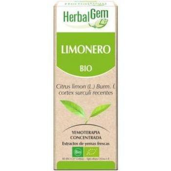 Glicerinato Limone-Albero Herbalgem, 50 ml