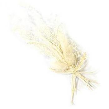 Bouquet Lagurus Séché Naturel 19x4cm