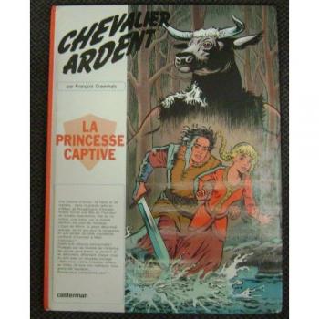 Chevalier Ardent Tome 11