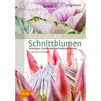 Bildatlas Schnittblumen