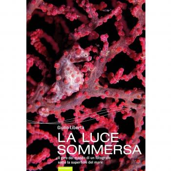 La luce sommersa. Il giro del mondo di un fotografo sotto la superficie del mare