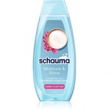 Shampoo Trasparente per Capelli Normali a Secchi