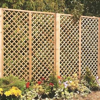 English Primrose Wall Screening Fan Trellis – 1.83 m × 1.80 m (Outdoor)