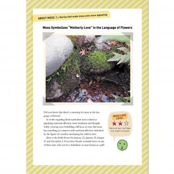 Miniature Moss Gardens: Create Your Own Japanese Container Garden