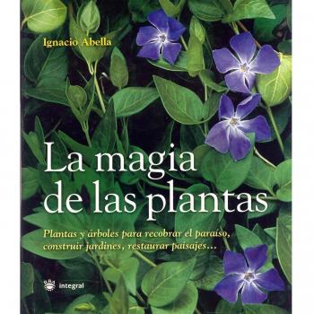 La magia de las plantas
