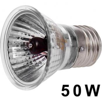 Eidechsen UV Glühbirne 100W