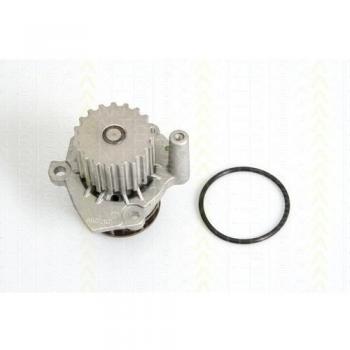 Triscan Pompa acqua 8600 29041