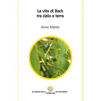 La vita di Bach tra cielo e terra