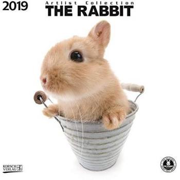 The Rabbit