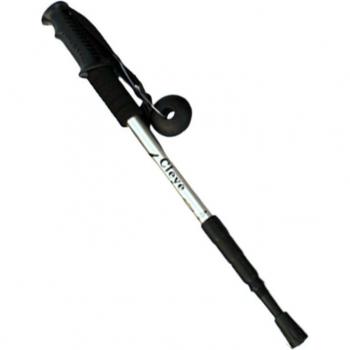 Hiking Stick
