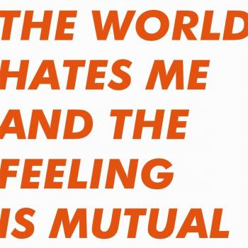 The world hates me and the feeling is mutual vinyl lp