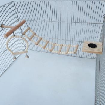 Bird Feeder Cup and Chew Toys