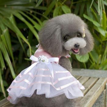Brilla en tu Boda con Nuestro Vestido Tulle Canino
