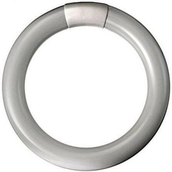 Lampada fluorescente 22W luce fredda 6500K Duralamp 2286T