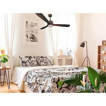 D166 Zafiro Light Fan Marrón