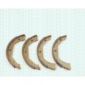 Triscan BMW 8100 11638 Bremsbacken Set – links & rechts