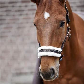 Waldhausen Halter: Black with Rose Gold Accents