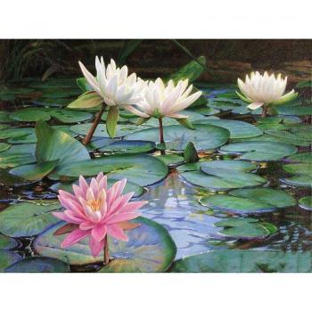 Kit Bricolage Diamant Lotus Étang