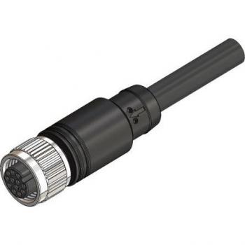 Câble d'actionneur pré-câblé M12 10m