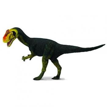 Fossile Proceratosaurus 88504