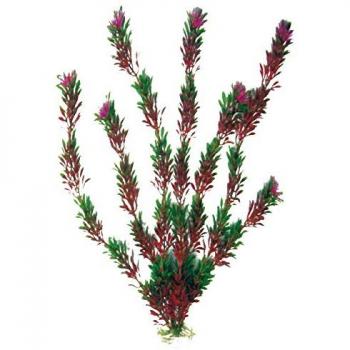 Amtra Pianta Classic Flora Doppio Colore SM