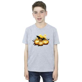 Batman Pumpkin Graphic Tee for Boys – DC Comics, Size 3‑4 Years