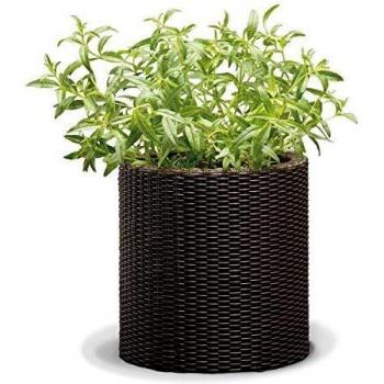 Keter M‑Zylinderblumentopf – Braun, 36 cm, 29197835590