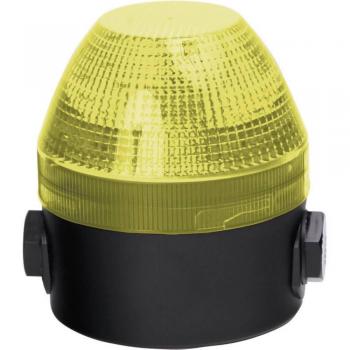 Lumina Flash Auer 110 V/AC – 230 V/AC