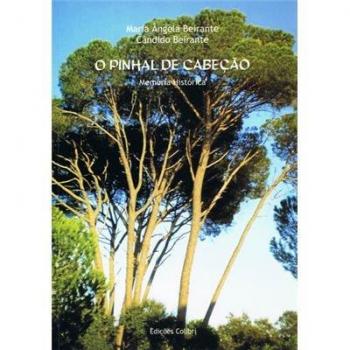 O pinhal de cabeçãomemória histórica