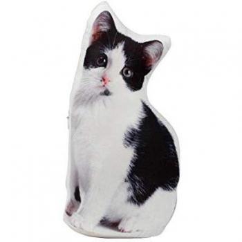 Sandtürsack Katze