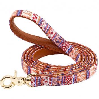Cuerda de Cuero Premium 120 cm – Cachorros & Adultos