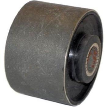 Ashika Ashika Gom-119