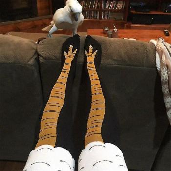 Cuisse haute stylée chaussettes
