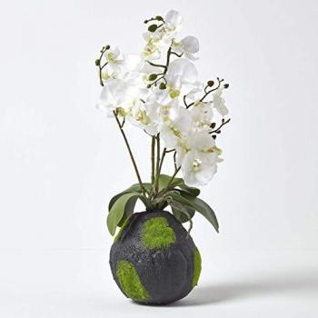 60 cm Tall White Phalaenopsis Orchid with Natural Base