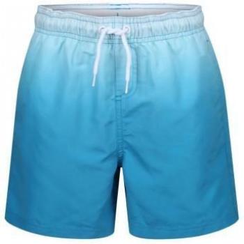Riptide Essentials Men XL Blue Dip-Dye Swim Shorts