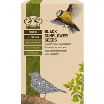 Soleil Obscur Poussins