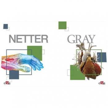 Netter Gray. L'anatomia: Anatomia del Gray-Atlante di anatomia umana di Netter Frank H. Netter;Susan Standring