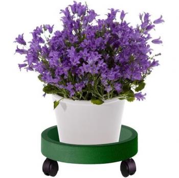 Potted Plant Water Tray