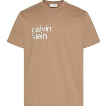 Calvin Klein Men's Stonehenge M T‑Shirt – Brown Circle Print